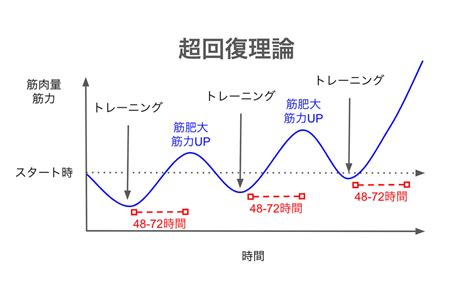 筋肉部位別の『超回復』にかかる時間！筋。